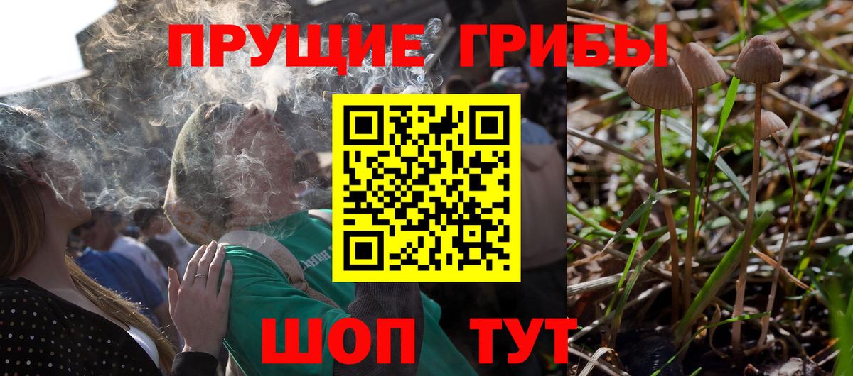 Галлюциногенные грибы ЛСД Вичуга