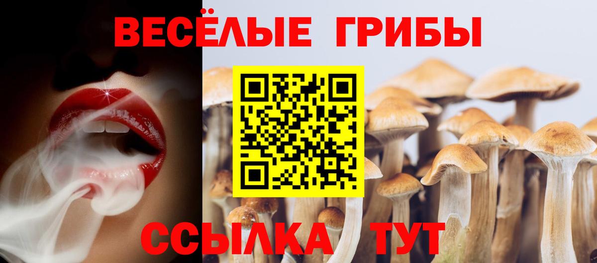 Галлюциногенные грибы GOLDEN TEACHER  Вход с VPN  Вичуга  Галлюциногенные грибы MAGIC MUSHROOMS 